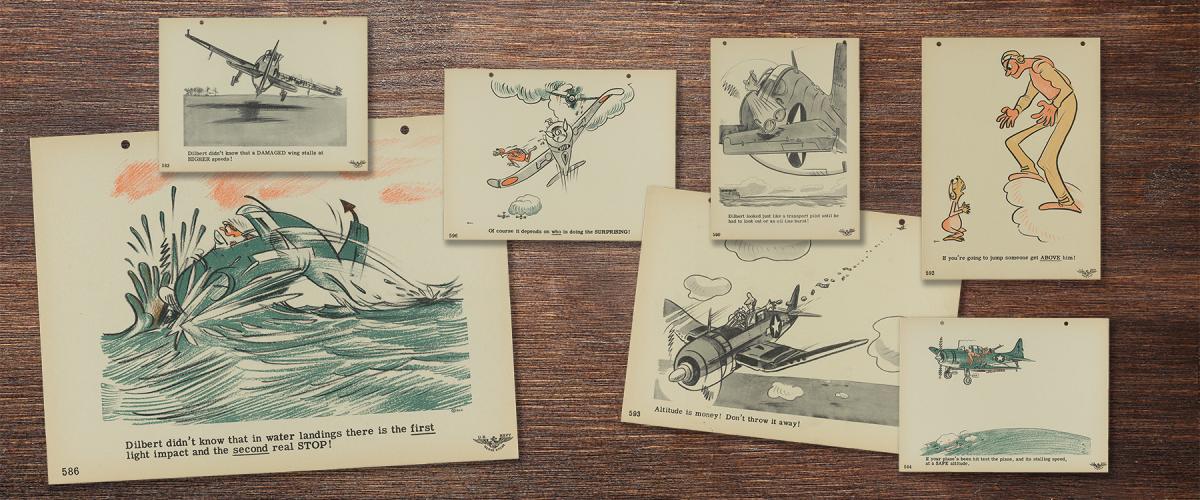 illustrations 