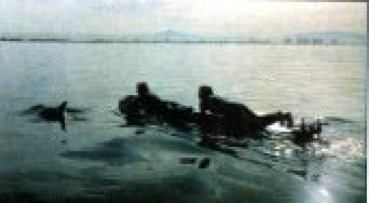 U.S. NAVY