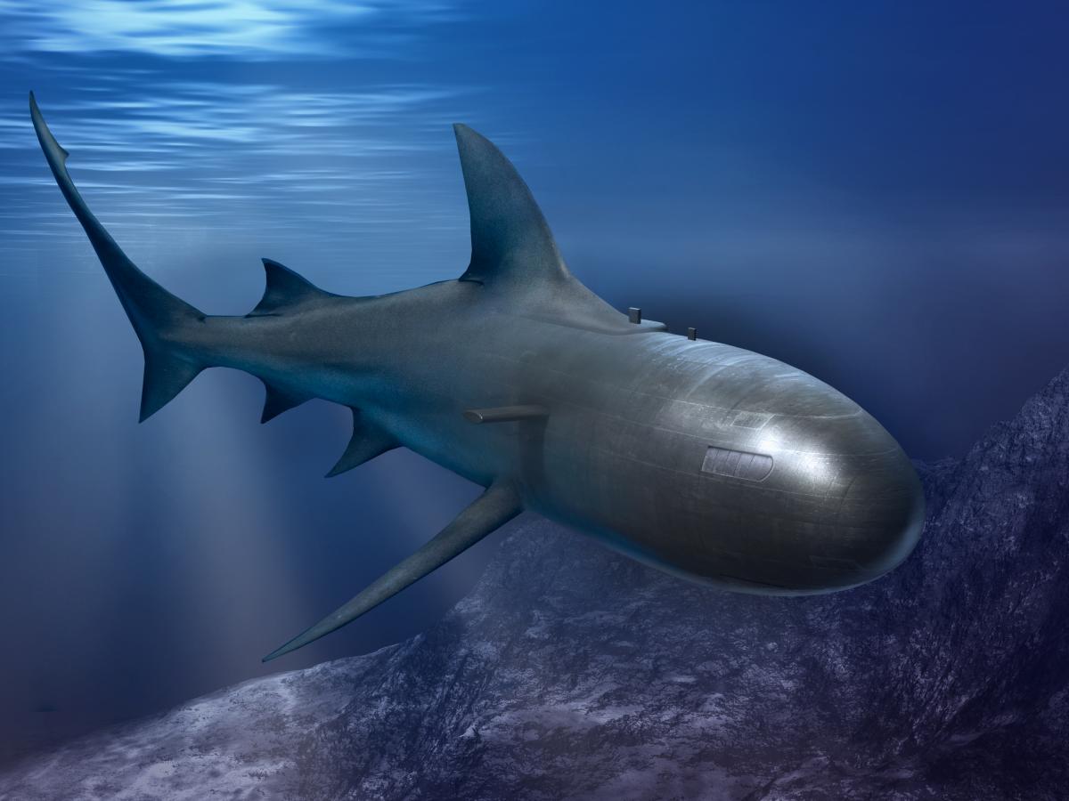 A submarine that looks like a shark