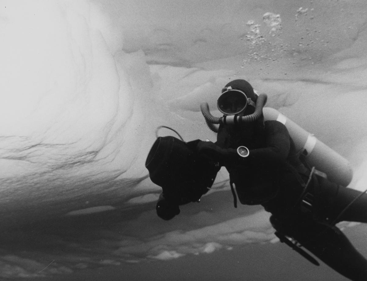 Frogmen