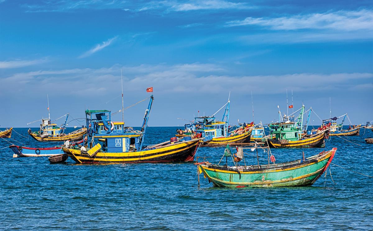 A multinational fisheries patrol in the South China Sea would be beneficial.