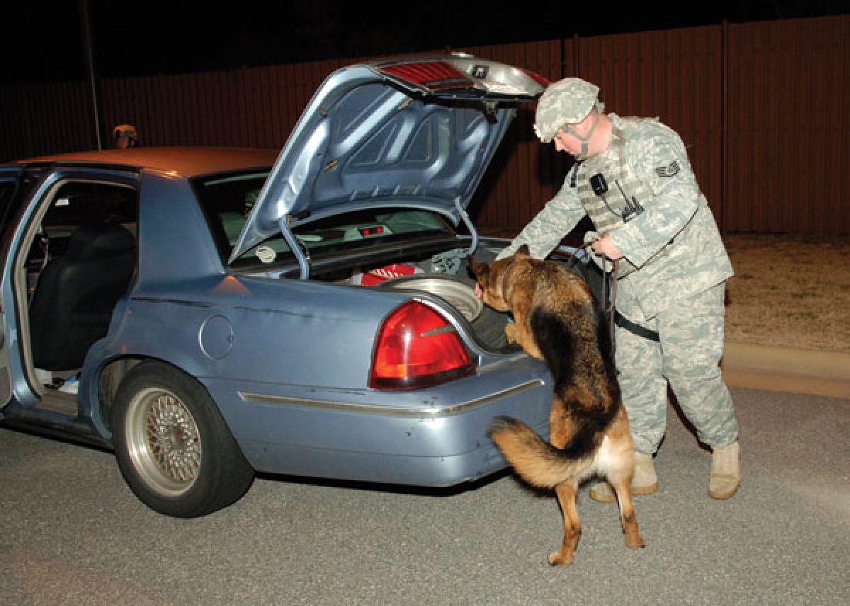 U.S. Air Force (Racheal Watson)