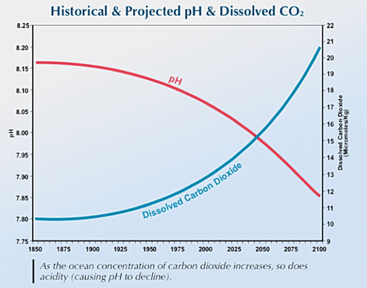 Oceans - Seasick: Our Acidic Ocean | Proceedings - September 2012 Vol