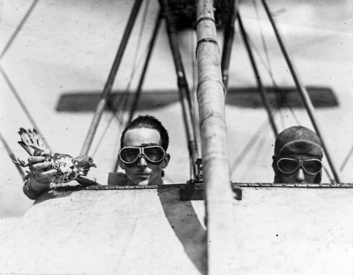 Carrier pigeon loose from the seaplane