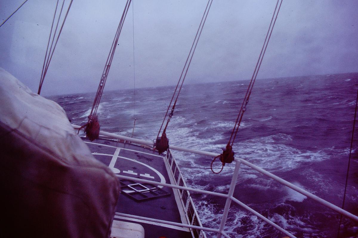Confidence Bearing Sea