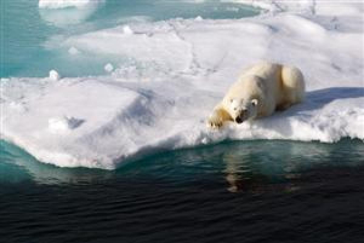 Arctic wildlife habitat lost to climate change, as this polar bear is experiencing, also translates into more shipping options. The U.S. Navy is prepared, and the other services should get on board.