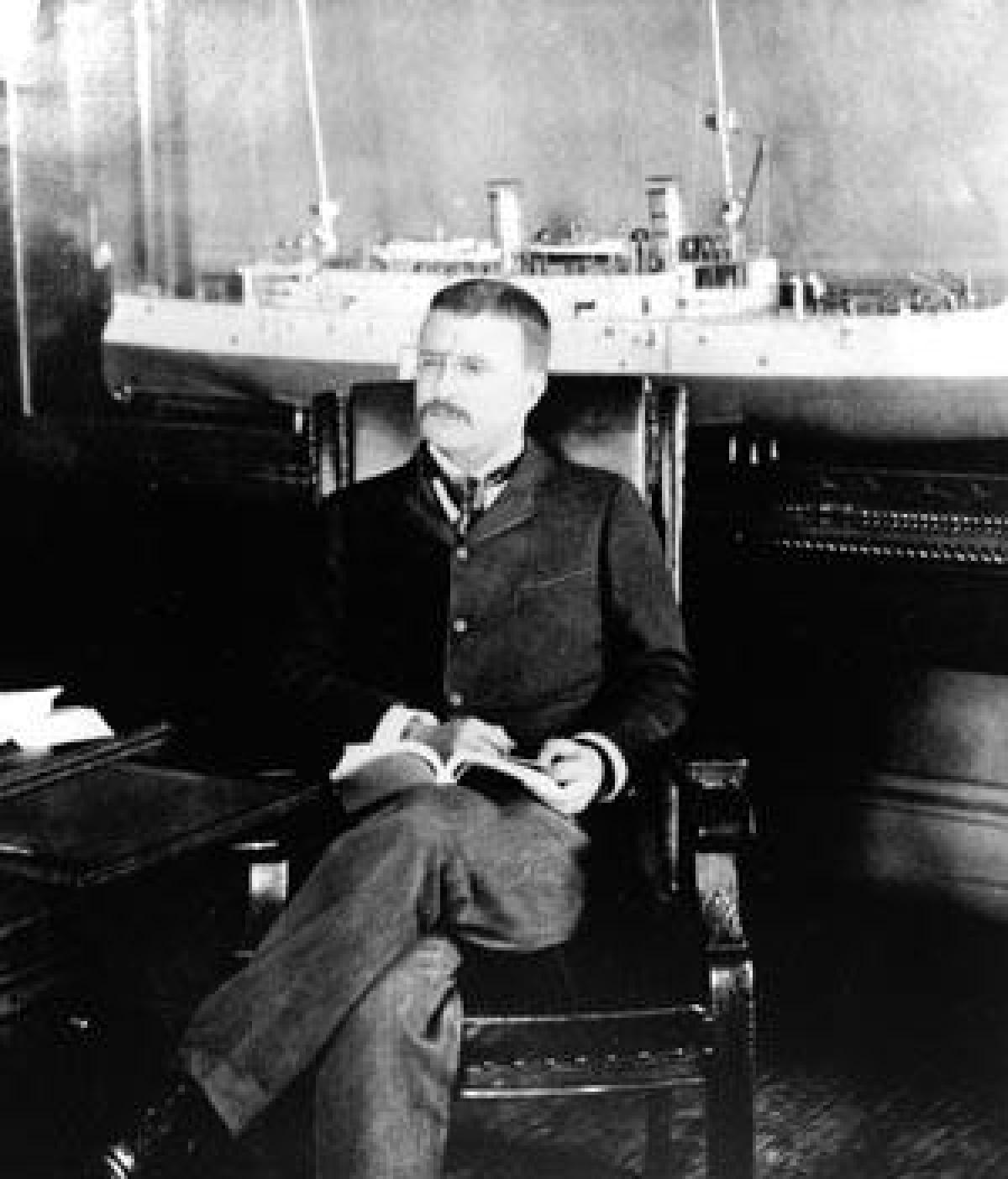 Teddy roosevelt quotes image