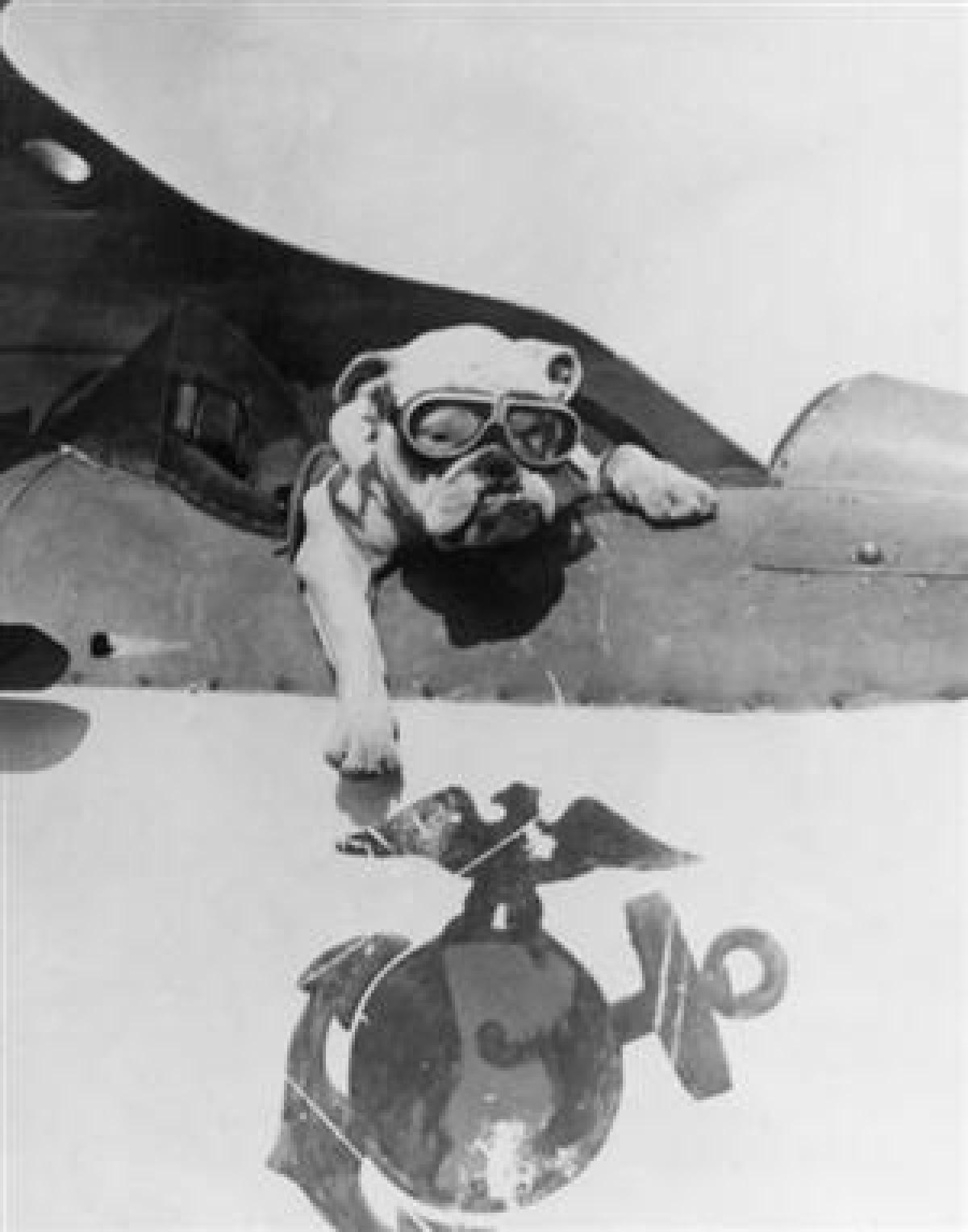 U.S. Naval Institute Photo Archive