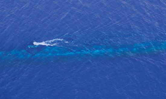 A Los Angeles–class  submarine at periscope  depth in the western Pacific. 