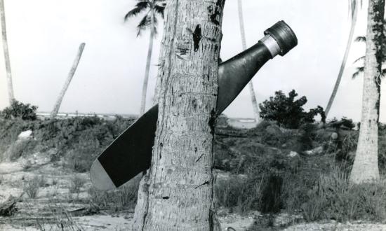 Propeller imbedded in trunk