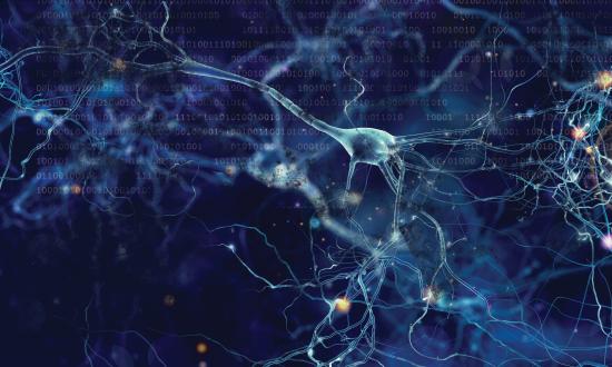 Binary code overlaying neurons