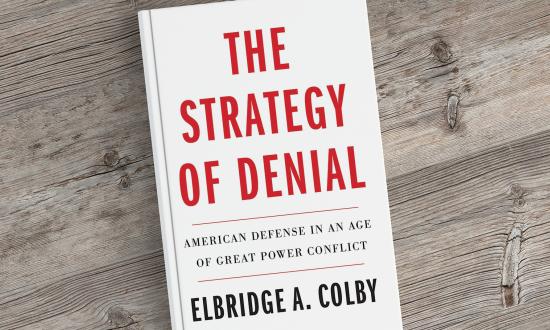 Book cover - Strategy of Denial