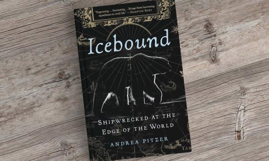 Icebound book cover