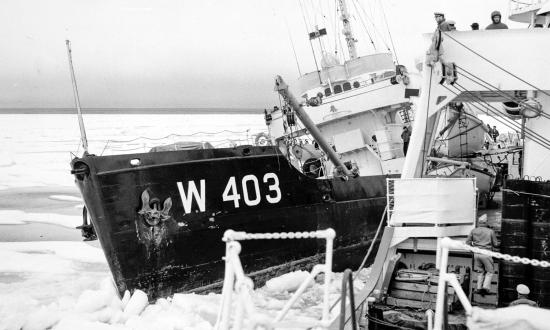 USCGC Spar crashing into the hull of the USCGC Storis