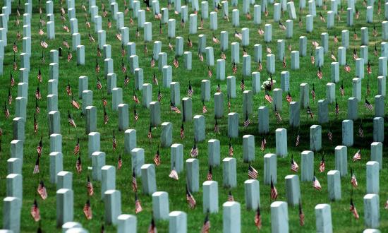 Tombstones in a National Cemetery