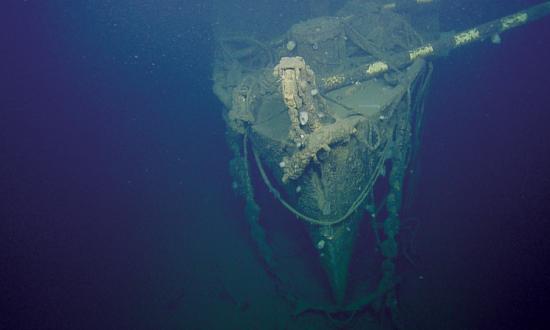 Courtesy of the Ocean Exploration Trust/NOAA