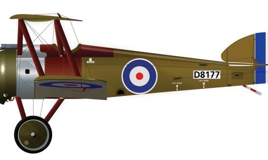 There are no known photographs of 1F.1 Camel D8177, and the markings of No. 213 Squadron were not standardized, with aircraft often having personalized features. It is depicted here in one of the basic standard Camel configurations.