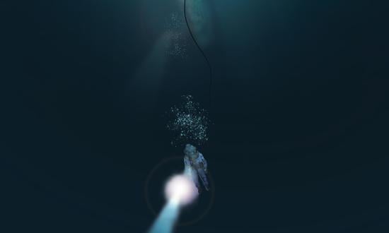 diver