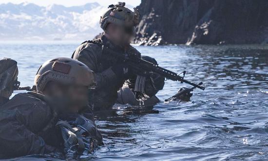 U.S. Navy SEALs 