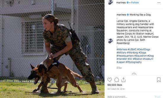 Marine Corps dog handler