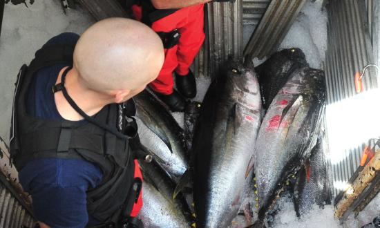 Boarding team members from Coast Guard Cutter Waesche inspect the refrigeration compartment of the fishing vessel Mariah