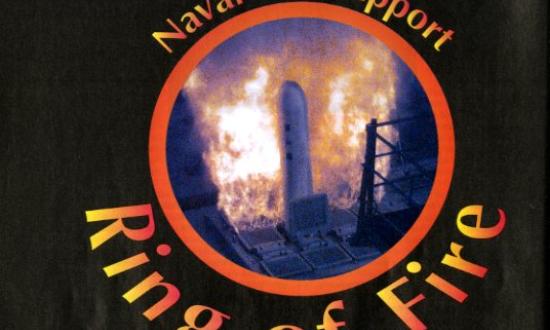 U.S. NAVY (WAYNE EDWARDS)