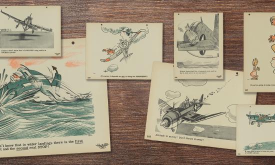 illustrations 