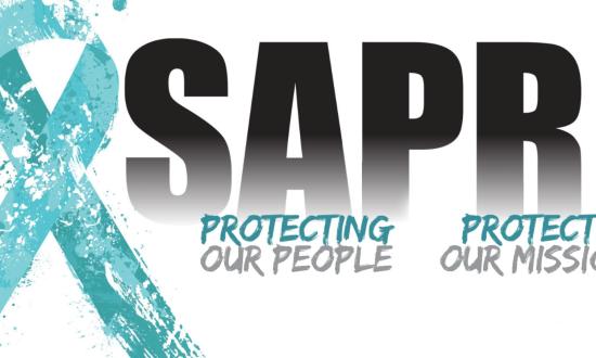 sapr logo