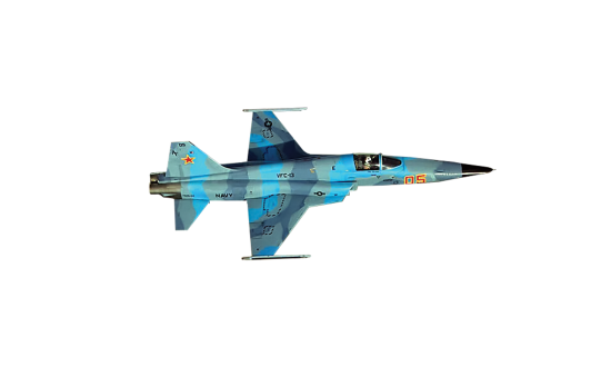 F-5N Tiger II of VFC-113 in flight