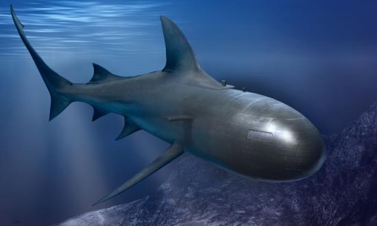 A submarine that looks like a shark