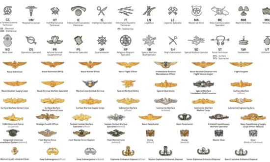 All Hands www.navy.mil